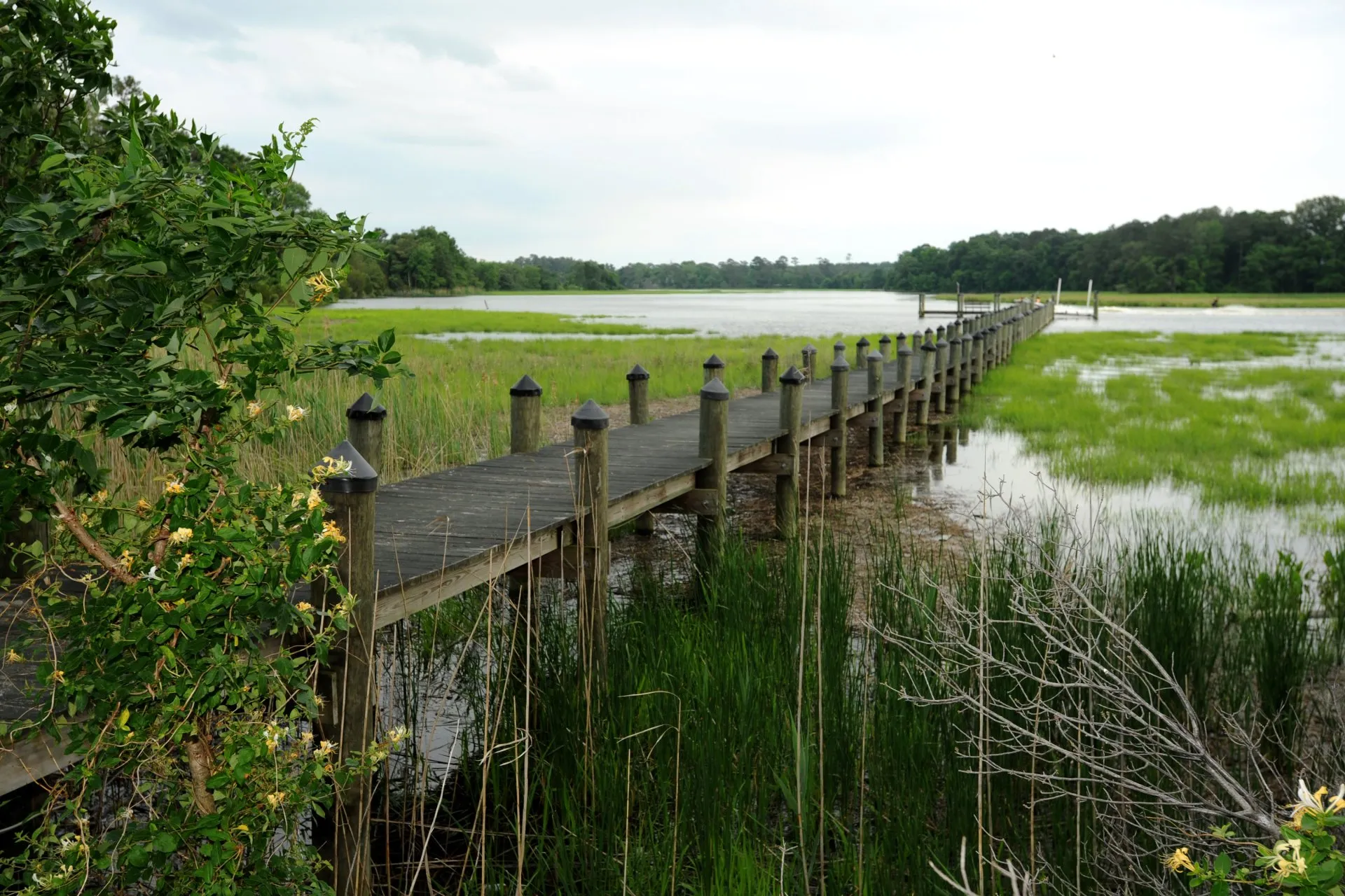 Bordeleau Vineyards & Winery